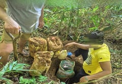 Troops seize suspected CTG supplies