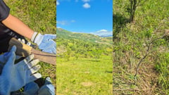 Nurturing the future: Epson Philippines lead Masungi Georeserve tree-nurturing