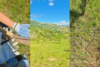 JOURNALISTS join conservation activities and forest restoration at Masungi Georeserve, Rizal