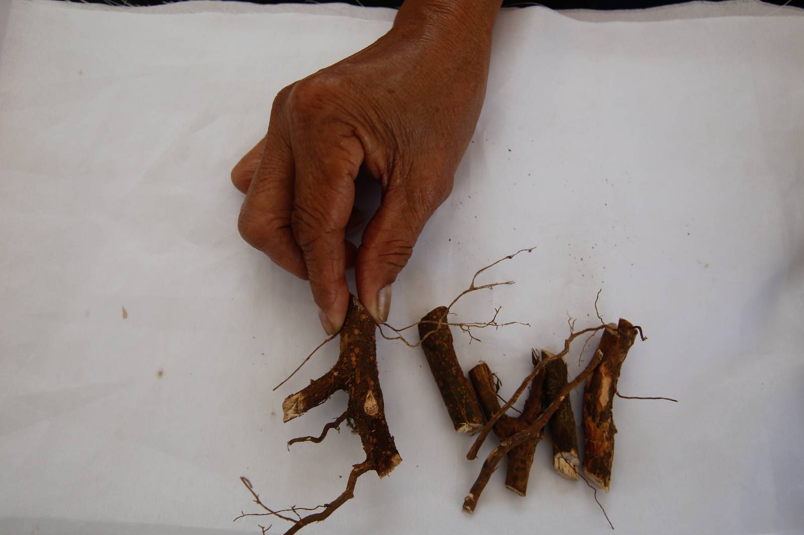 An indigenous person from Mindanao displays traditional medicine at an exhibit at Ninoy Aquino Parks and Wildlife on World Wildlife Day, 3 March 2026. This year’s theme, “Medicinal and Aromatic Plants: Conserving Health, Heritage and Livelihoods,” highlights the importance of plants in health, culture, and local economies amid threats from habitat loss, overharvesting, and climate change.