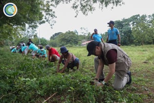 CCC, Santa Fe youth plant 33 Molave trees for climate resilience