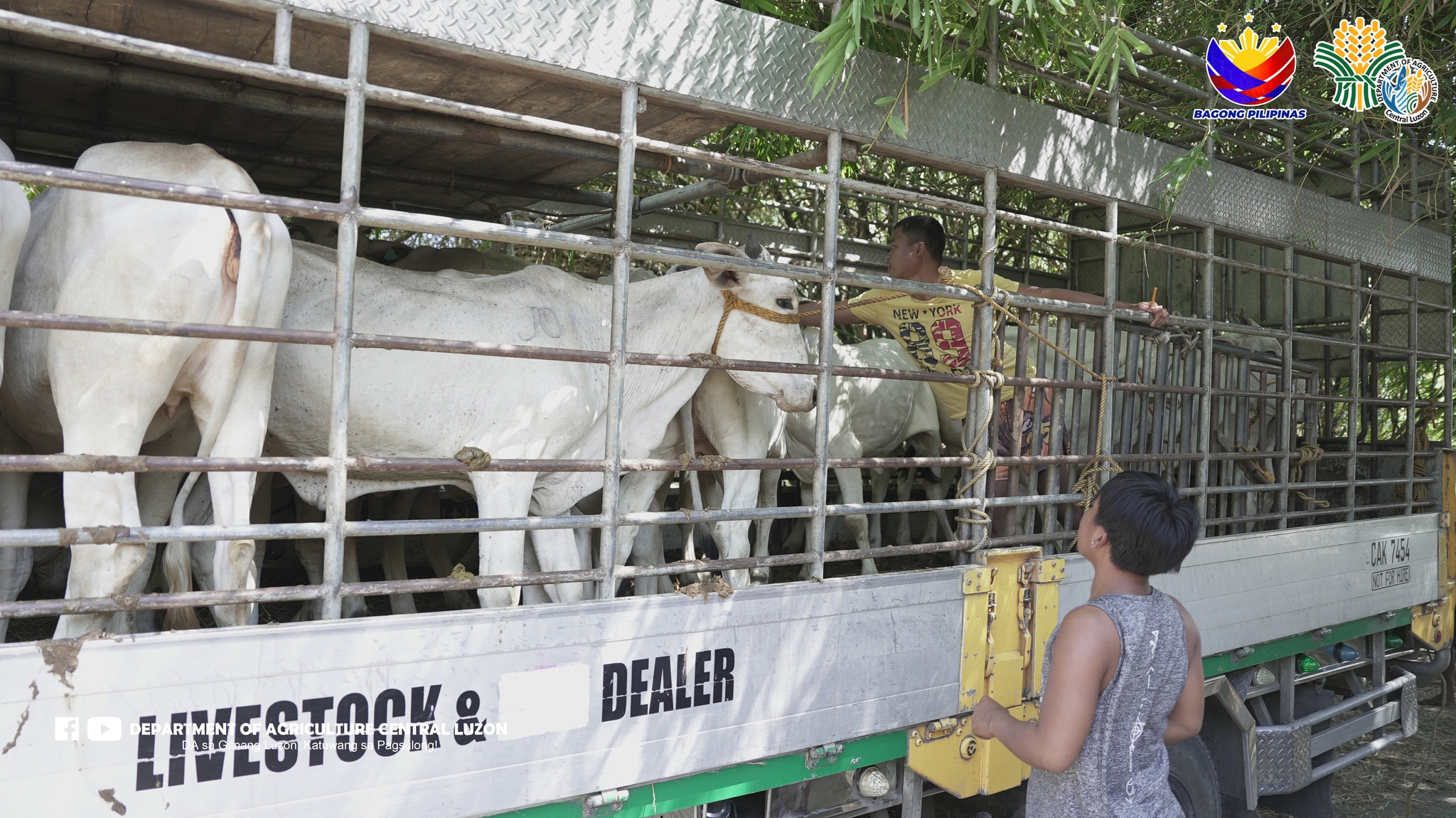 Philippines blocks Greece livestock imports