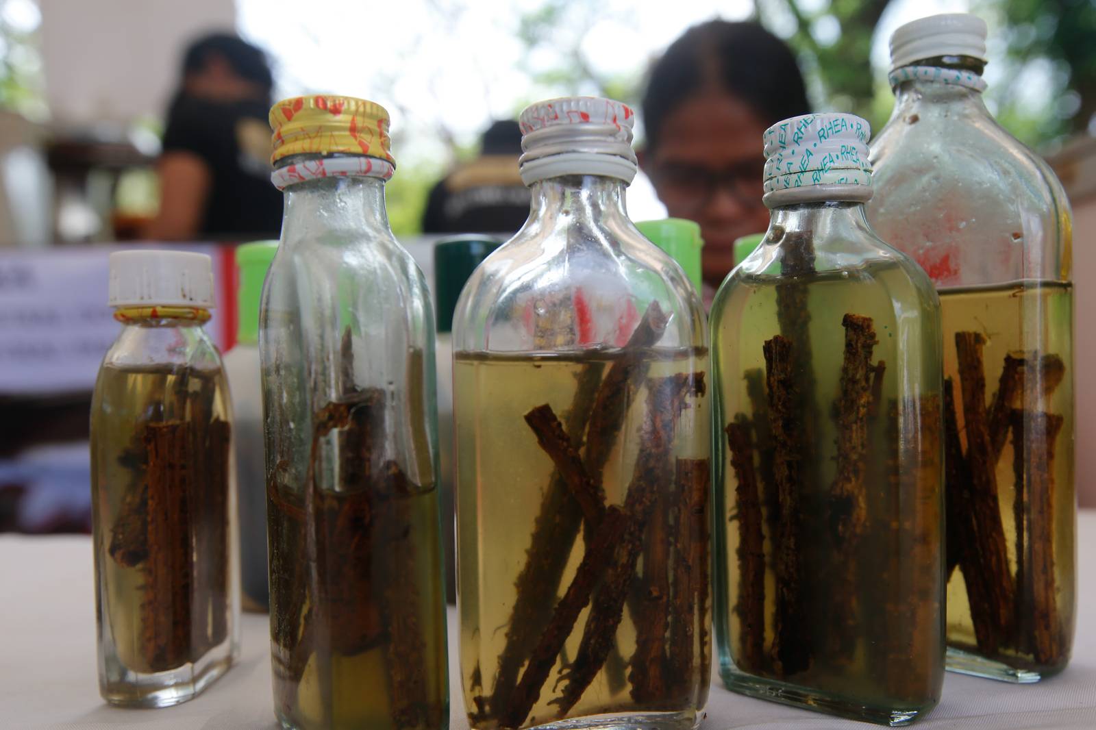 An indigenous person from Mindanao displays traditional medicine at an exhibit at Ninoy Aquino Parks and Wildlife on World Wildlife Day, 3 March 2026. This year’s theme, “Medicinal and Aromatic Plants: Conserving Health, Heritage and Livelihoods,” highlights the importance of plants in health, culture, and local economies amid threats from habitat loss, overharvesting, and climate change.