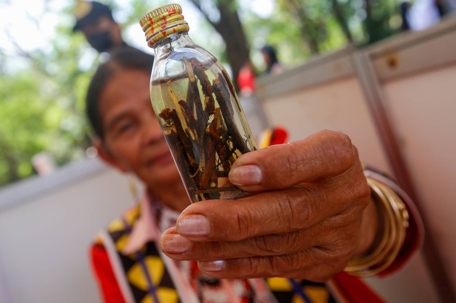 An indigenous person from Mindanao displays traditional medicine at an exhibit at Ninoy Aquino Parks and Wildlife on World Wildlife Day, 3 March 2026. This year’s theme, “Medicinal and Aromatic Plants: Conserving Health, Heritage and Livelihoods,” highlights the importance of plants in health, culture, and local economies amid threats from habitat loss, overharvesting, and climate change.