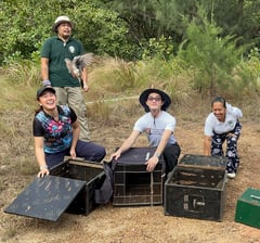 Wildlife officials release 14 recovered birds in Caluya