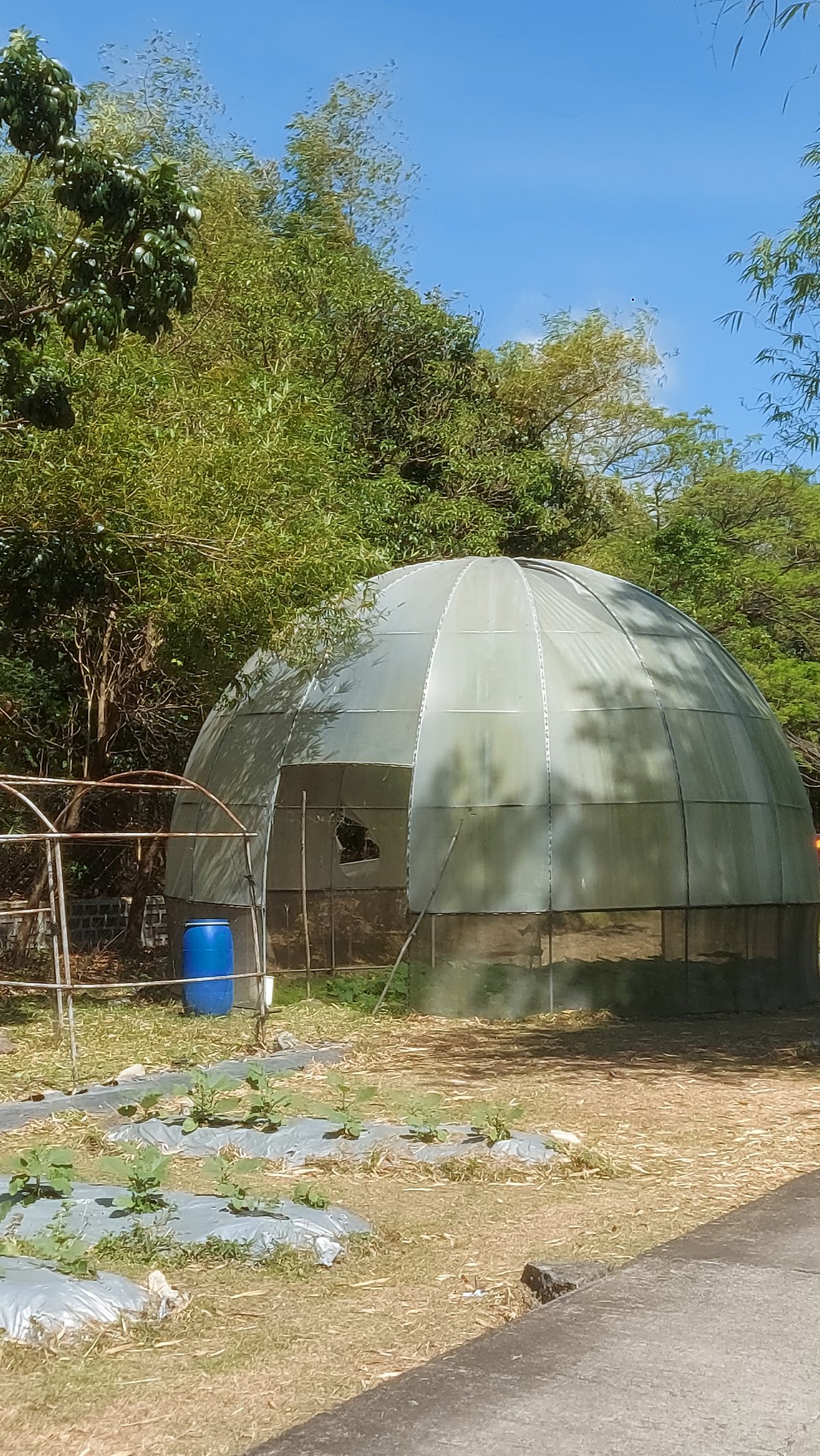 GREENHOUSE and vegetable plots.