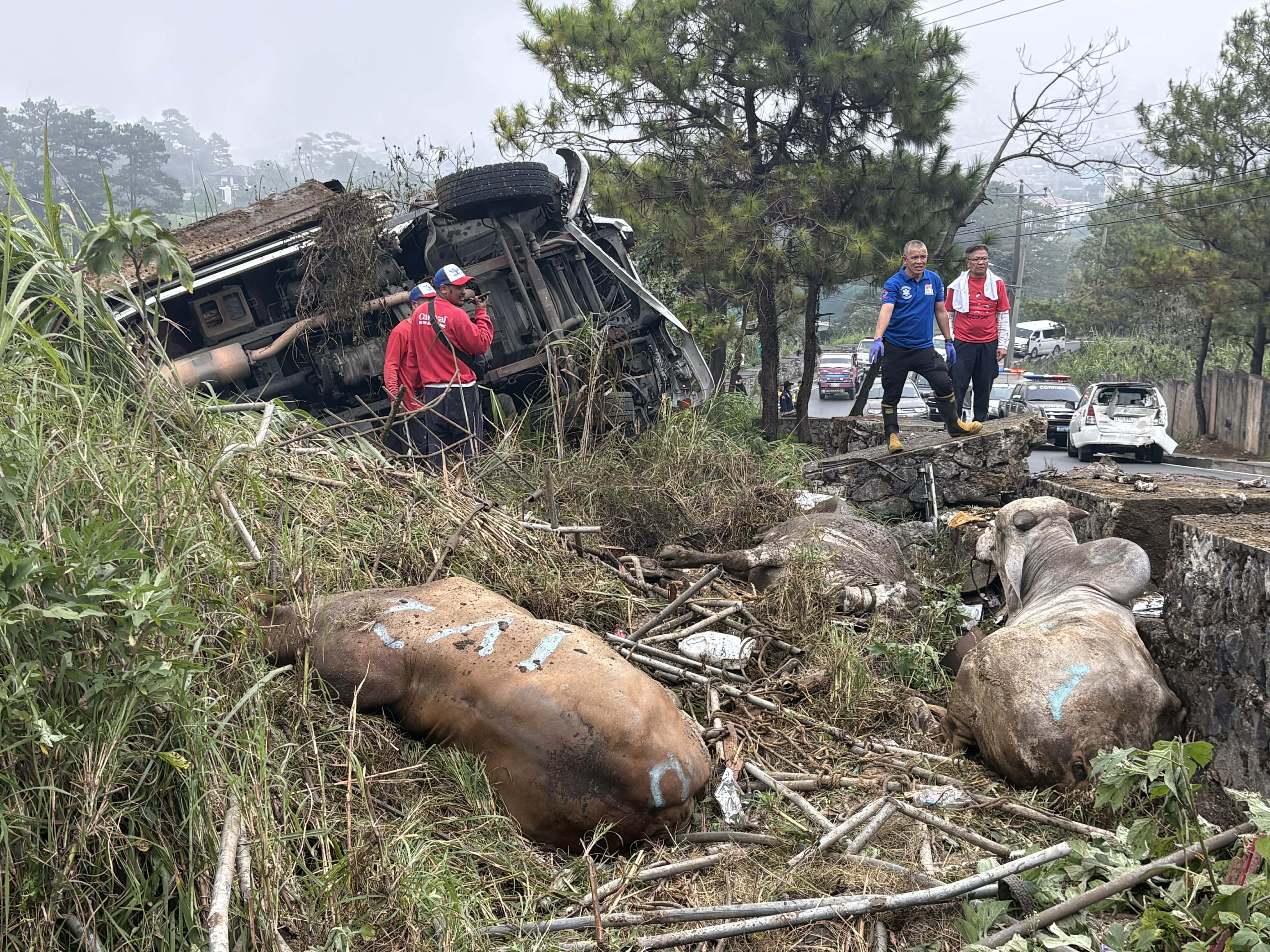 Two killed in Baguio truck mishap