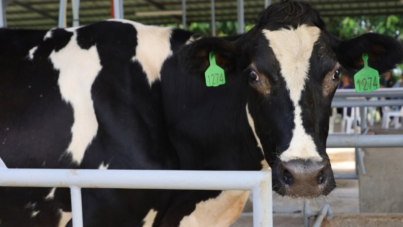 Bataan, NDA push dairy industry boost