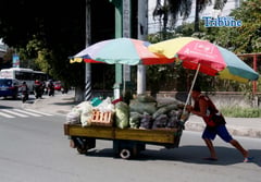Vegetables
