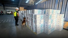 BOC seizes P235-M undeclared cigarettes