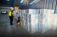 A BUREAU of Customs officer deploys a sniffer dog to inspect 637 cases of undeclared MAC SS brand cigarettes at the Port of Batangas, valued at approximately P235 million, as part of intensified anti-smuggling efforts under President Ferdinand R. Marcos Jr.’s directive to strengthen border security and protect government revenues.