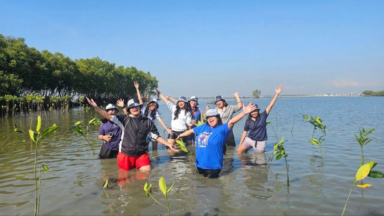 Proxy planting: Pals grow beauty queen’s 
‘forests of change’ 
