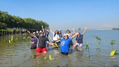 Proxy planting: Pals grow beauty queen’s
‘forests of change’