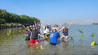 Proxy planting: Pals grow beauty queen’s 
‘forests of change’ 
