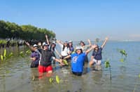 FRIENDS of Miss Cosmo 2025 runner-up Chelsea Fernandez (left) during their mangrove planting in Barangay Pamarawan, Malolos City, Bulacan on 28 February 2026. The beauty queen has been an advocate of reforestation since 2019.