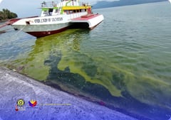 Green algal bloom hits Biliran island town