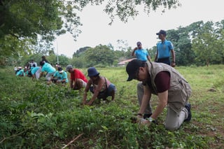 CCC chief praises Romblon youth
