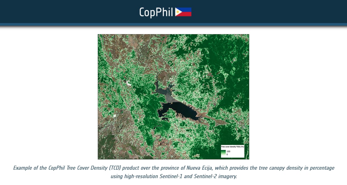 Philippines lost 1.42M hectares of tree cover in 22 years — study