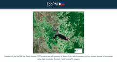 Philippines lost 1.42M hectares of tree cover in 22 years — study