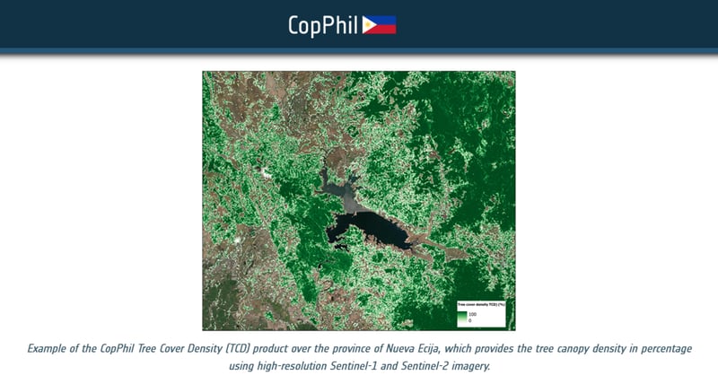 Philippines lost 1.42M hectares of tree cover in 22 years — study