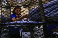 Philippine Postal Corporation (PHLPost) personnel sort mail at the Manila Central Post Office in Liwasang Bonifacio, Manila, on 09 March 2026. The PHLPost is currently implementing a compressed workweek among personnel whose duties cannot be rendered remotely and those in the mail operations to ensure uninterrupted service delivery.