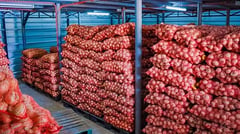DA plans onion procurement in Mindoro
