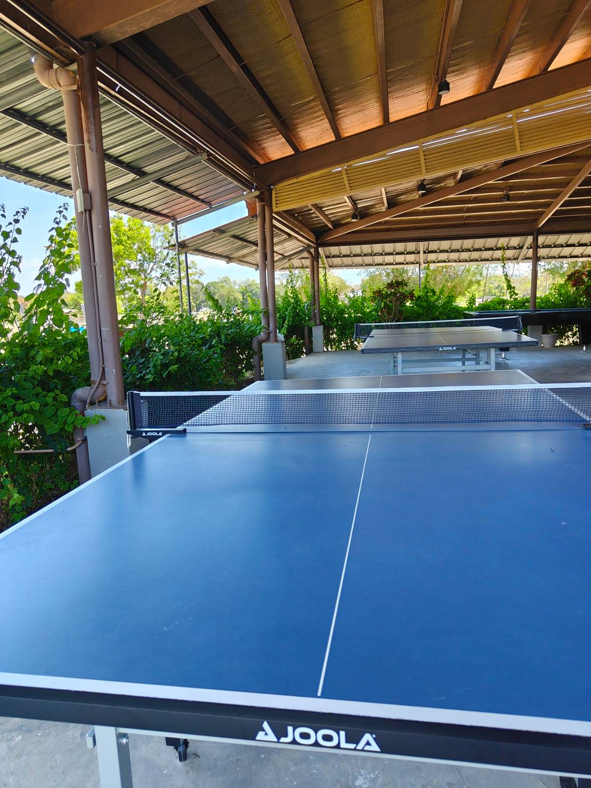 TABLE tennis at the farm’s recreational area.
