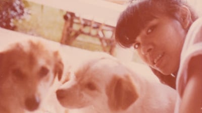 Asia Art Archive marks 25th year