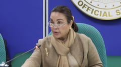 Legarda pushes 20% discount, benefits for unpaid care workers