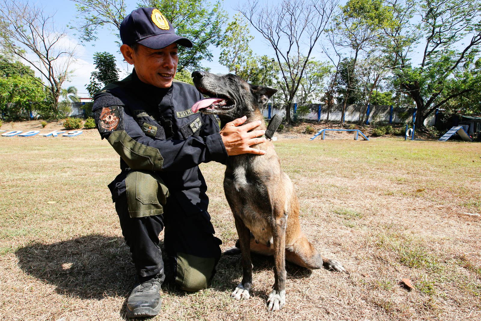 Police handlers and Explosive Detection Dogs (EDDs) of the Regional EOD Canine Unit-NCR conduct morning drills at Camp Bagong Diwa, Taguig City, on 10 March 2026. After years of service, twenty-six K9 heroes are officially set to retire from active duty and begin their well-earned "civilian dog lives."

These retired K9 heroes are also open for adoption and seeking loving homes to enjoy their retirement.