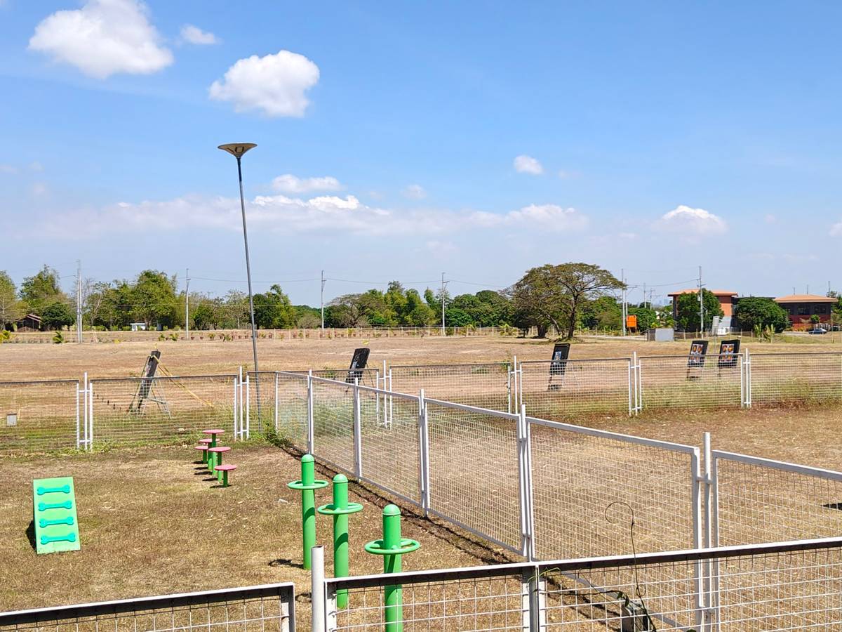 ARCHERY field at the Villar Sipag farm school.