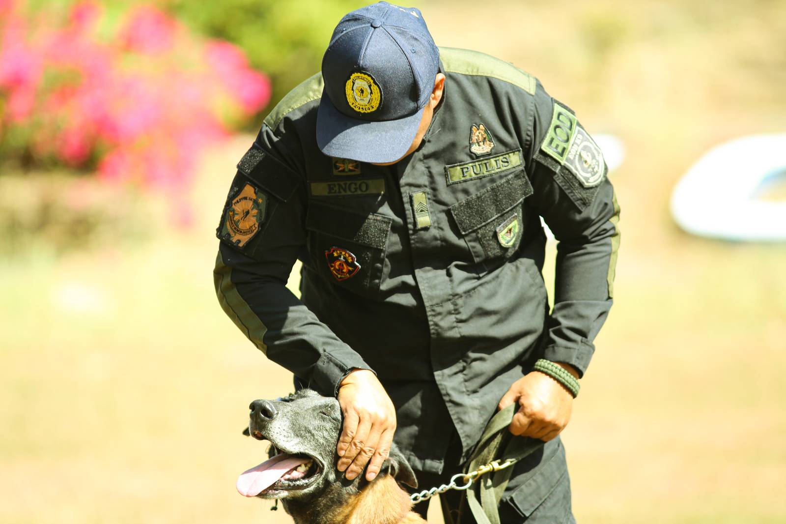 Police handlers and Explosive Detection Dogs (EDDs) of the Regional EOD Canine Unit-NCR conduct morning drills at Camp Bagong Diwa, Taguig City, on 10 March 2026. After years of service, twenty-six K9 heroes are officially set to retire from active duty and begin their well-earned "civilian dog lives."

These retired K9 heroes are also open for adoption and seeking loving homes to enjoy their retirement.
