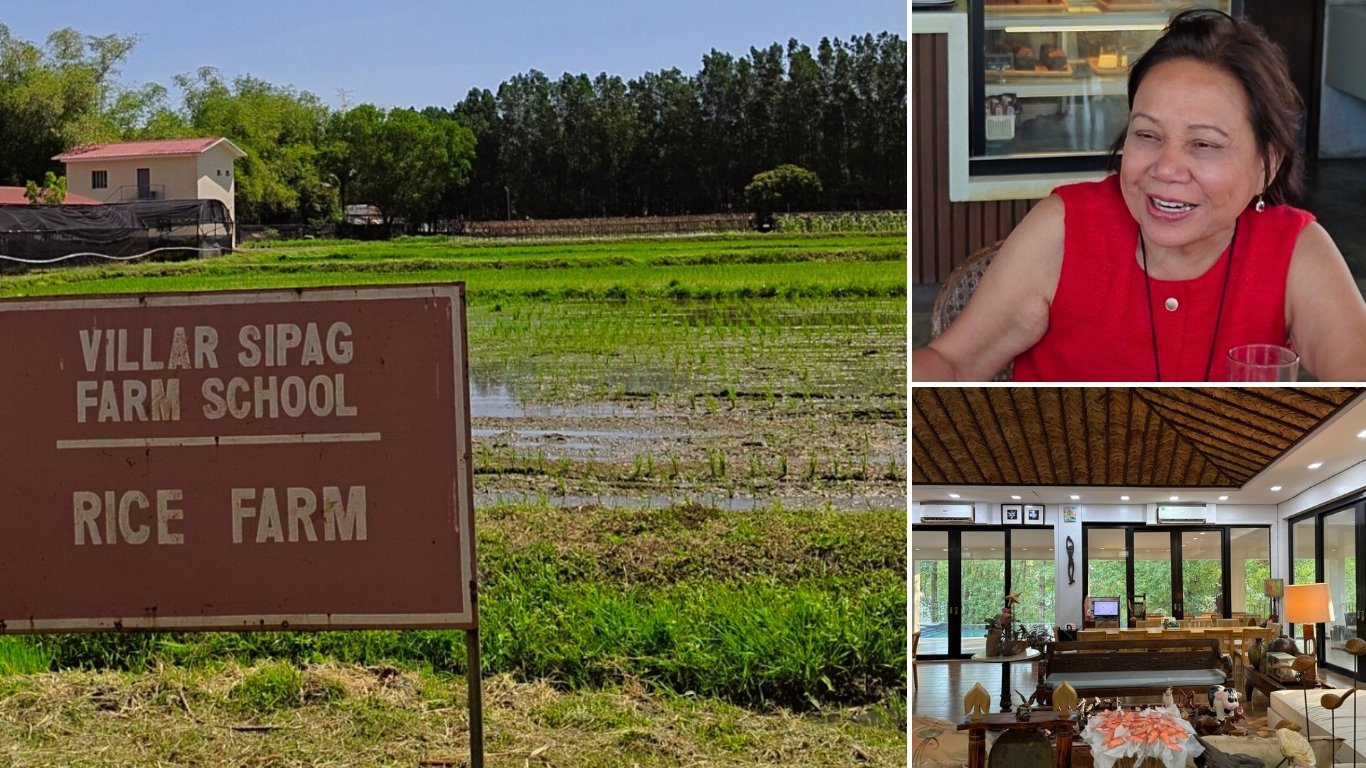 A day in farm life