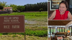 A day in farm life