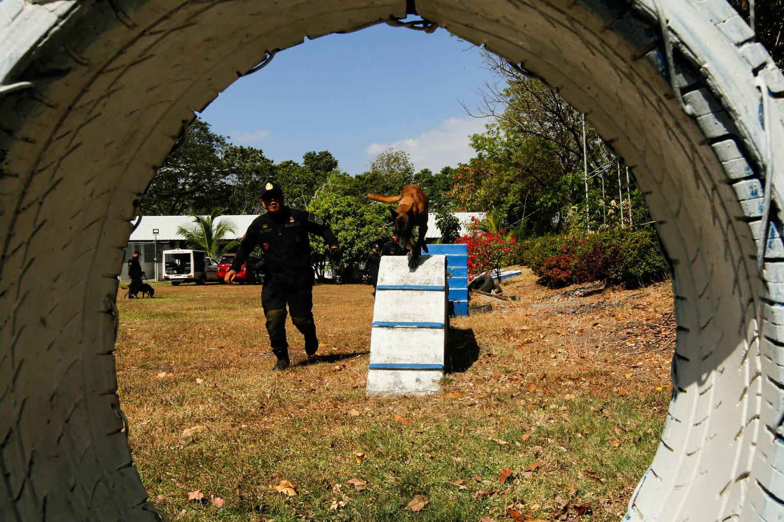 Police handlers and Explosive Detection Dogs (EDDs) of the Regional EOD Canine Unit-NCR conduct morning drills at Camp Bagong Diwa, Taguig City, on 10 March 2026. After years of service, twenty-six K9 heroes are officially set to retire from active duty and begin their well-earned "civilian dog lives."

These retired K9 heroes are also open for adoption and seeking loving homes to enjoy their retirement.