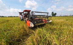 Fuel surge hits transport, farm workers