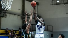 PCU-D stops Njiasse, Olivarez