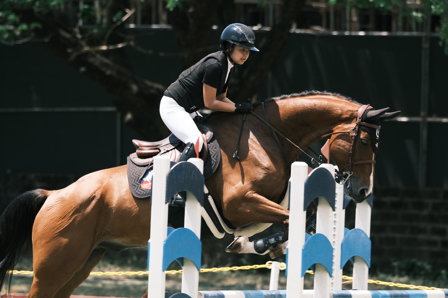 Nat’l equestrian tourney set