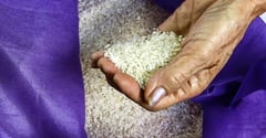 DA fines suppliers P81M over delayed projects