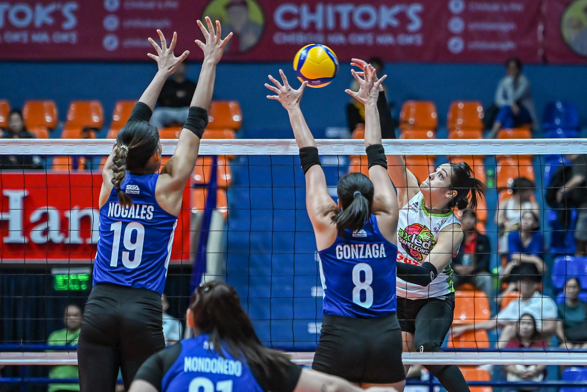Chameleons rediscover winning ways
