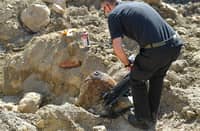 WWII bomb defused after evacuation