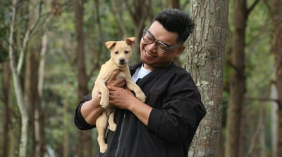 Maxicare introduces animal bite care e-voucher with insurance
