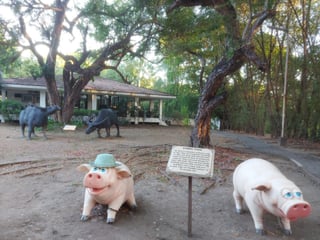 Villar Farm House: Simplicity is beauty