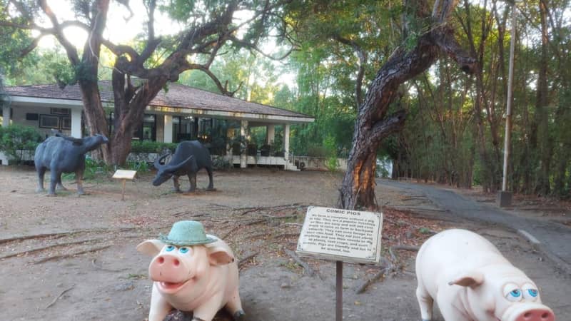 Villar Farm House: Simplicity is beauty