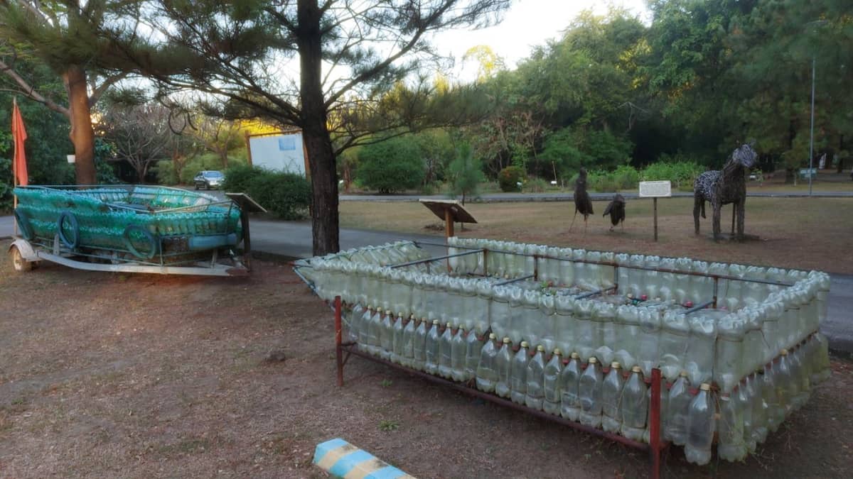 PLASTIC bottles upcycled into seeding pots.