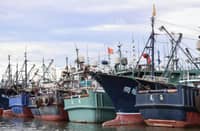 South Africa intercepts four Chinese fishing vessels
