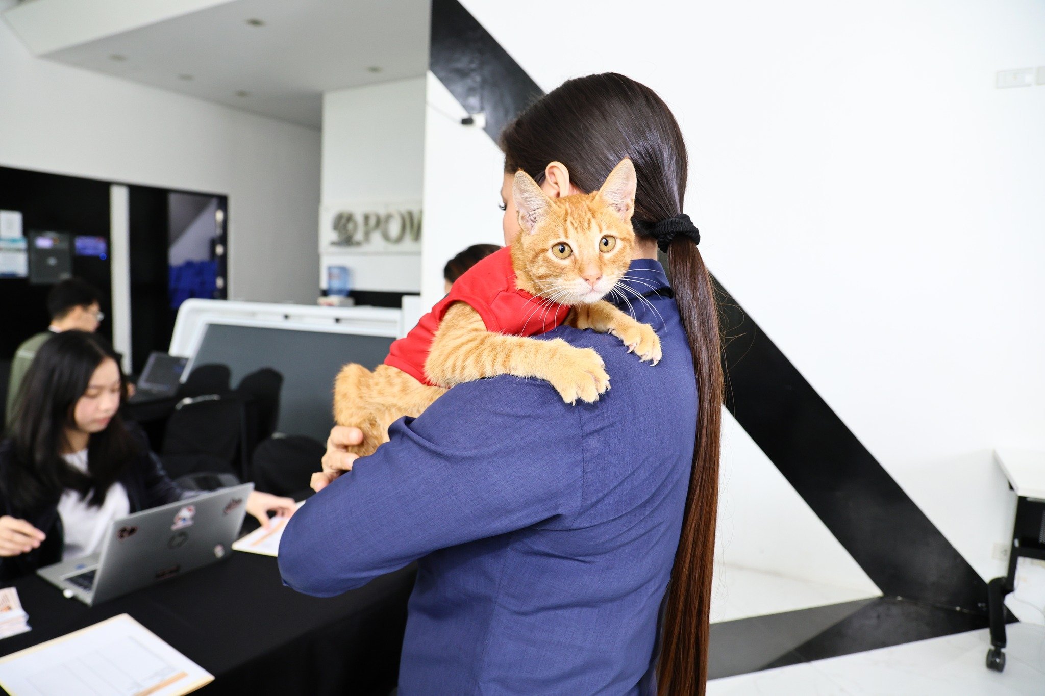 Malasakit fur all: Inside Meralco’s workplace where animals are family