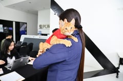 Malasakit fur all: Inside Meralco’s workplace where animals are family