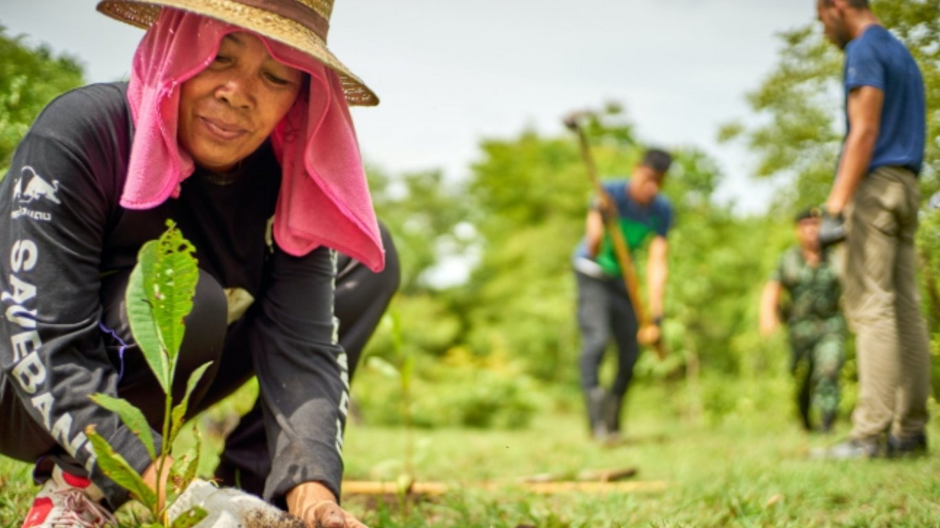 Advocates push ‘Tree Growing’ law