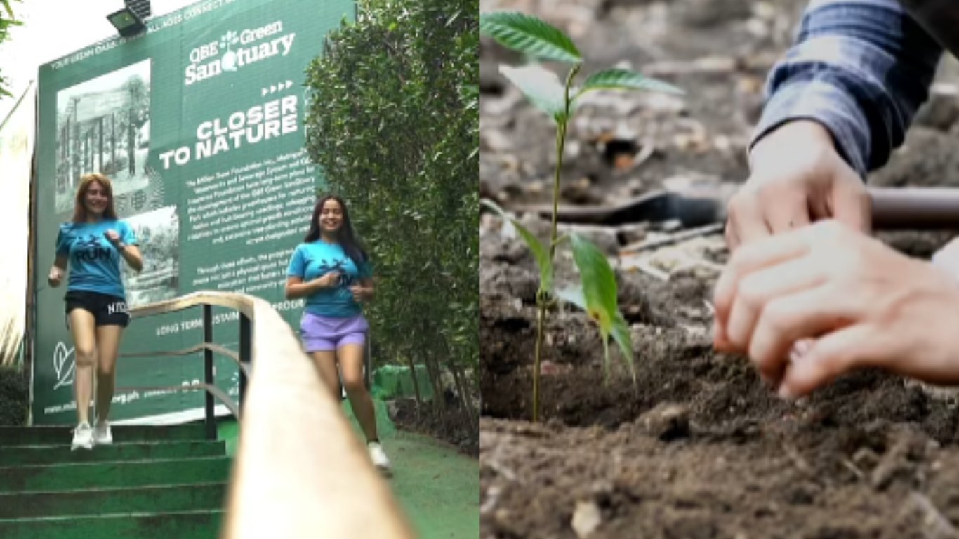PAGCOR named forest champion partner